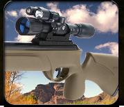 Gamo Rifles